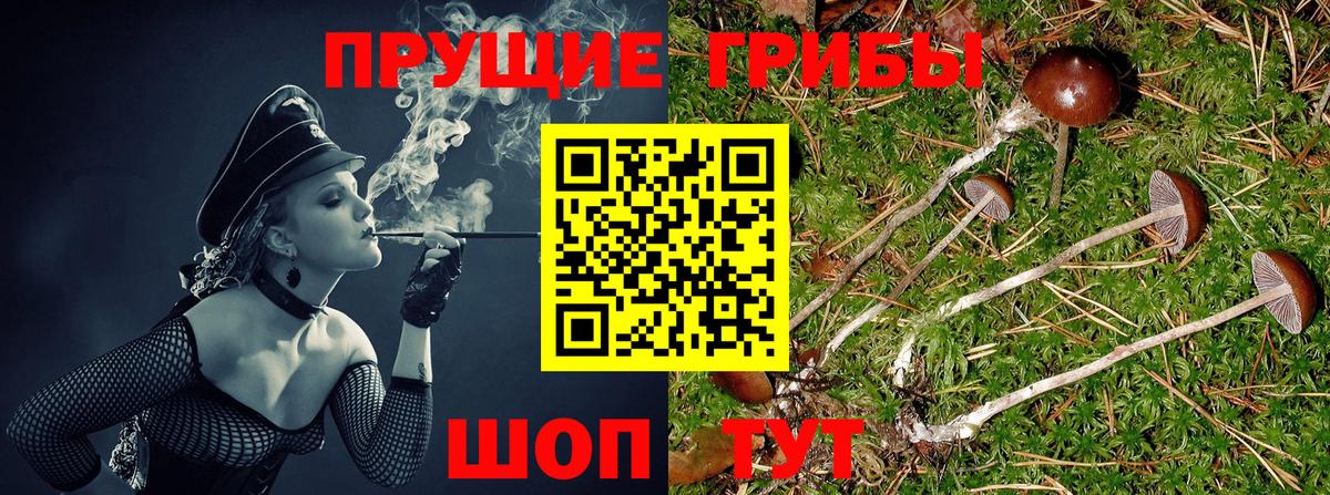 Псилоцибиновые грибы Magic Shrooms  Псилоцибиновые грибы мухоморы  Черкесск  Вход с VPN 