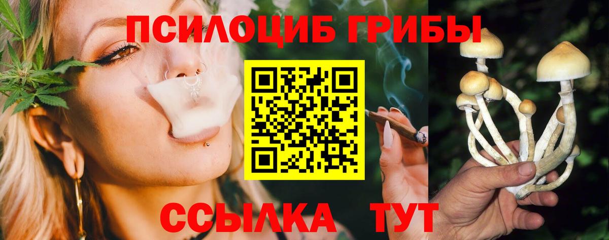 Галлюциногенные грибы GOLDEN TEACHER Черкесск